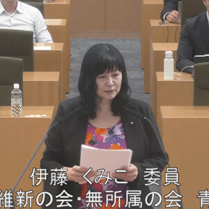 令和6年度決算第二特別委員会(こども青少年局関係) 伊藤くみこ議員(青葉区)